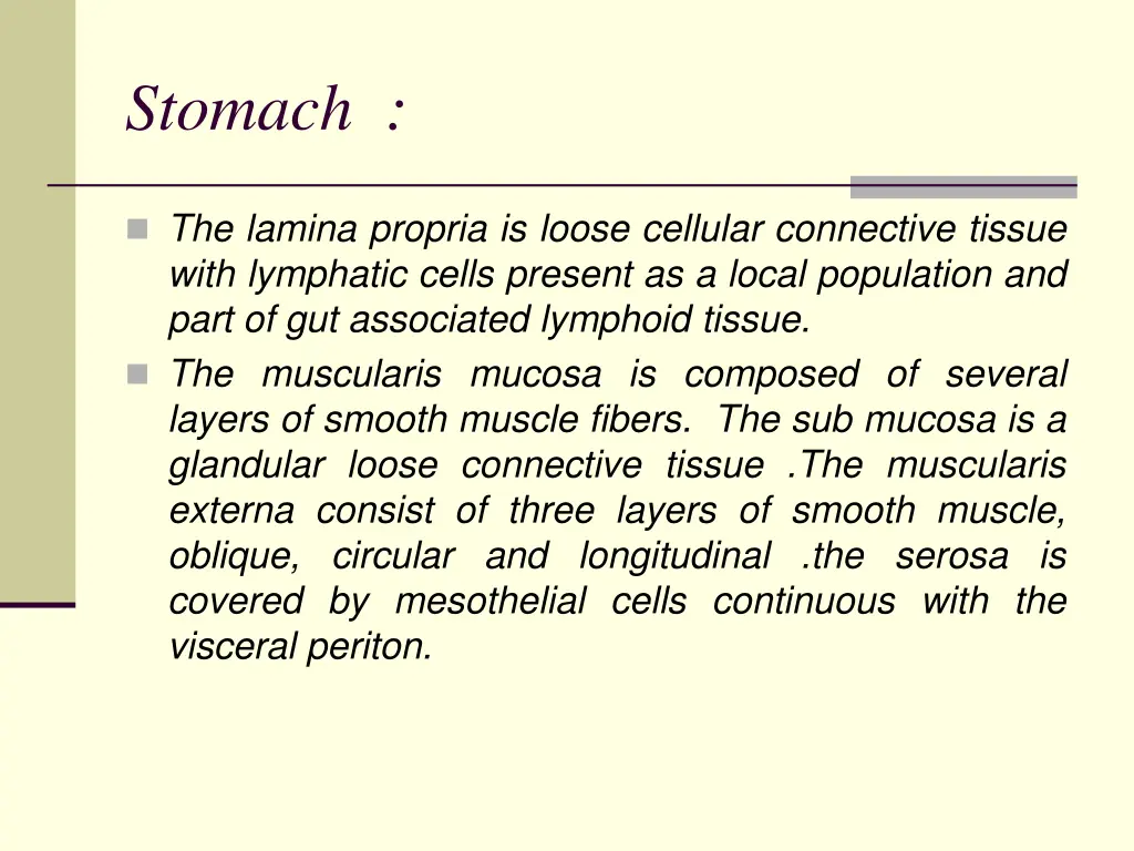 stomach 1