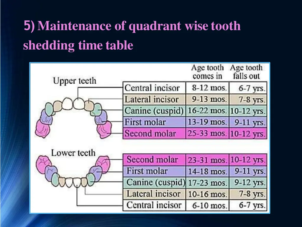 5 maintenance of quadrant wisetooth shedding