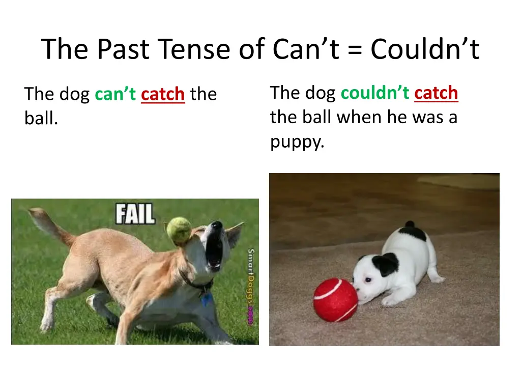 the past tense of can t couldn t