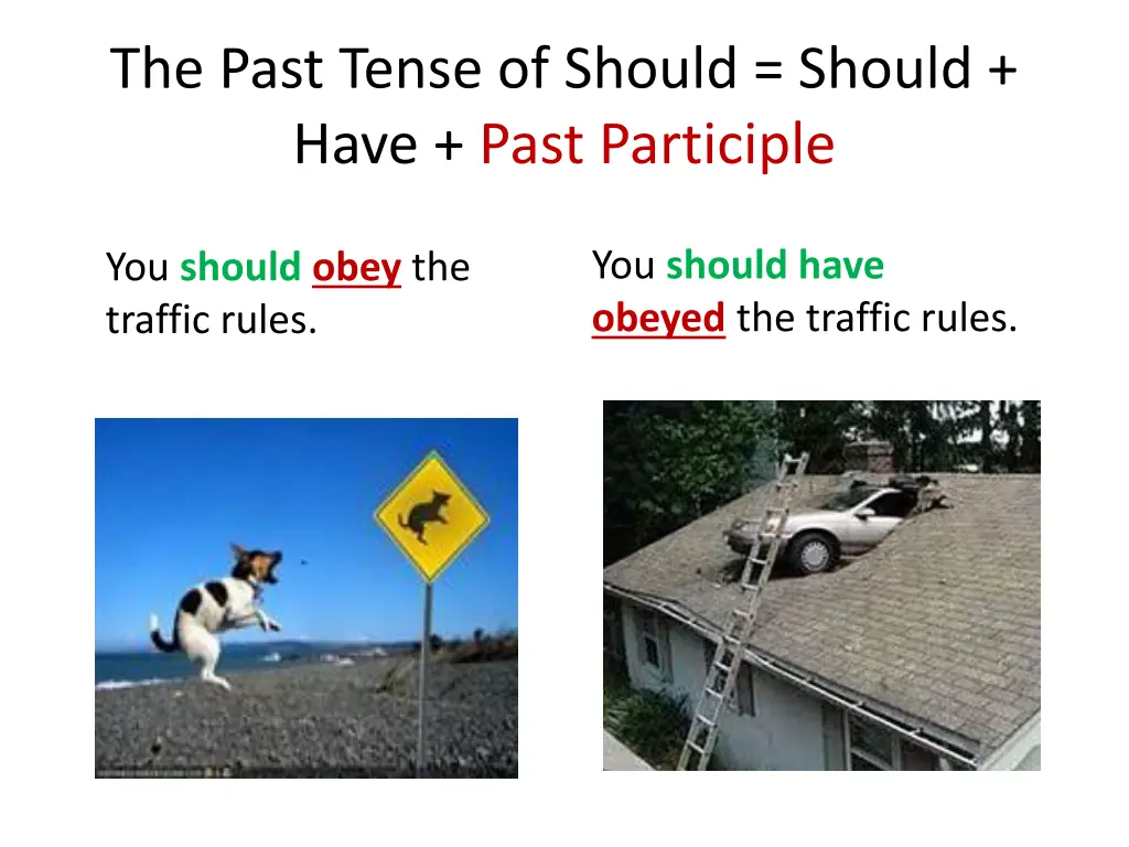 the past tense of should should have past