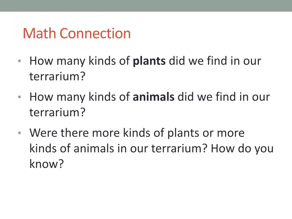 math connection