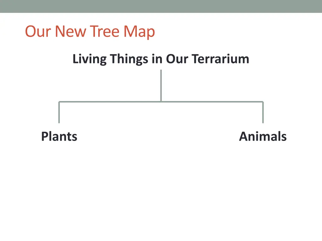 our new tree map