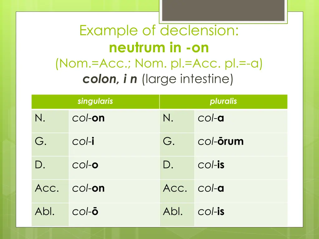 example of declension neutrum 1