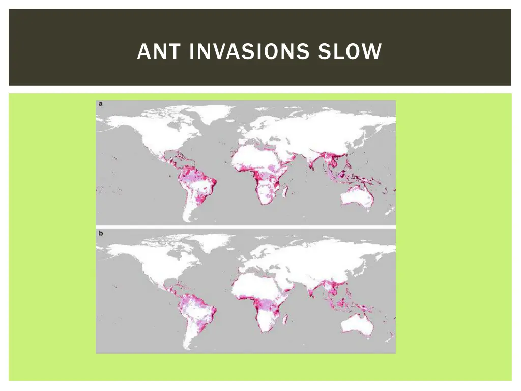 ant invasions slow