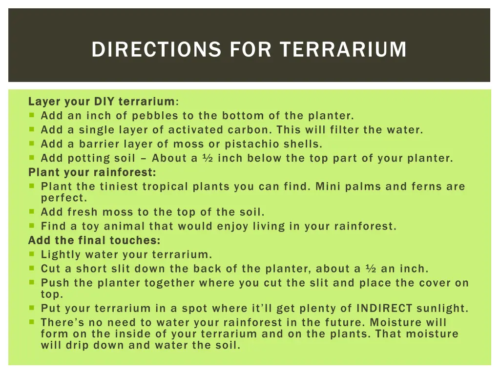 directions for terrarium