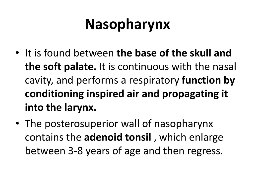 nasopharynx