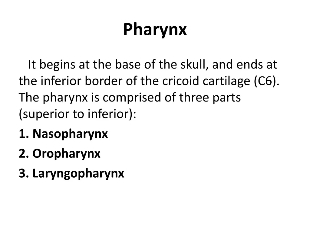 pharynx