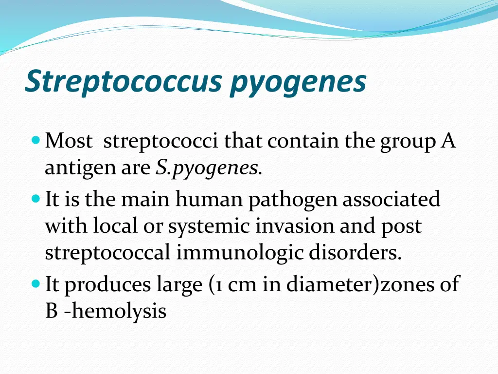 streptococcus pyogenes