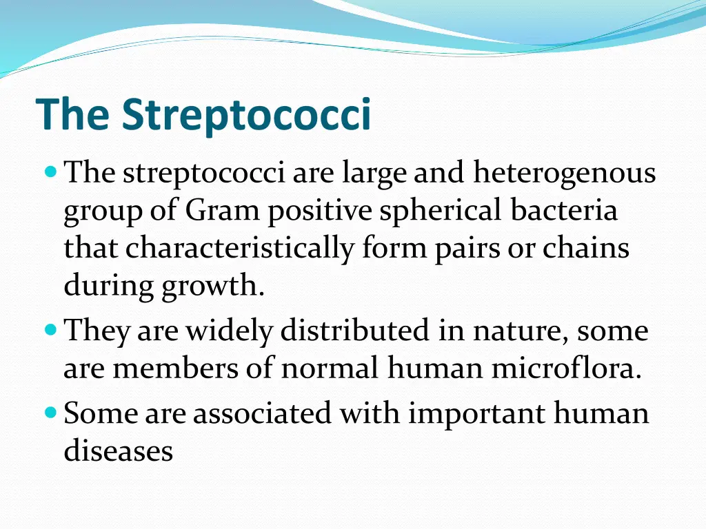 the streptococci