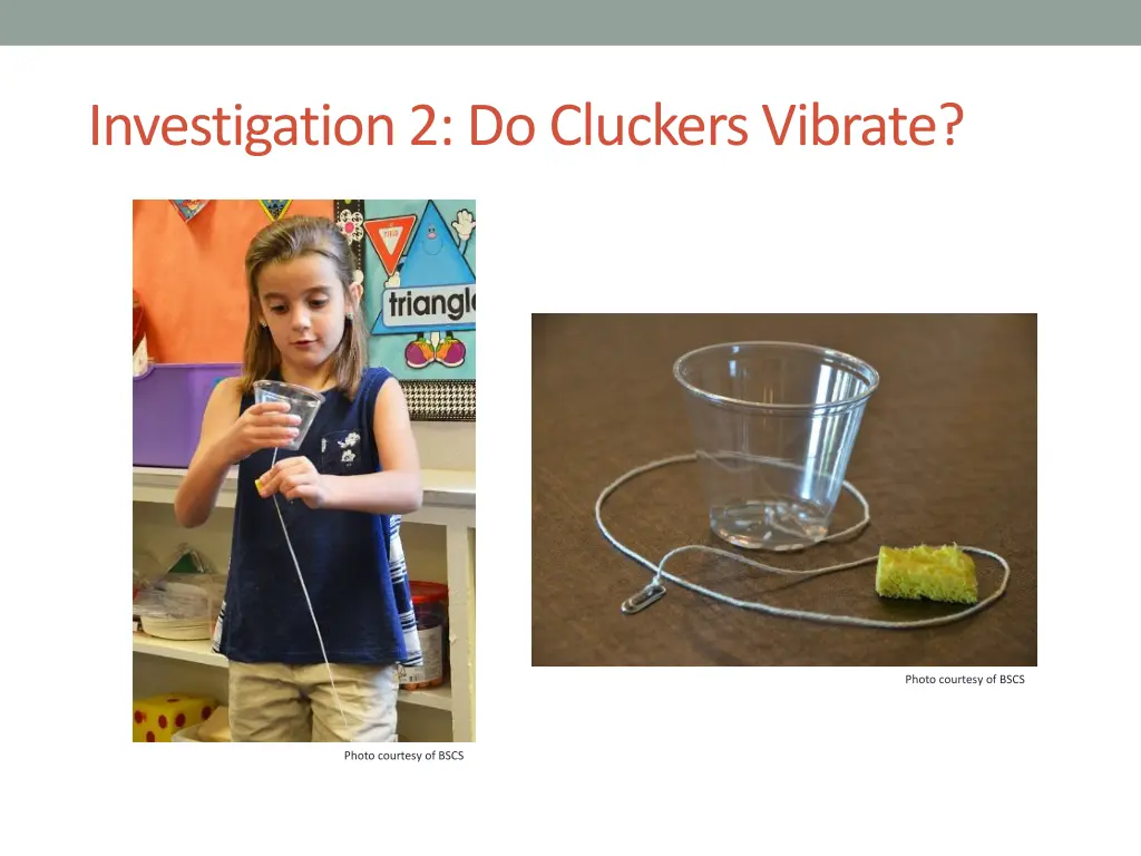 investigation 2 do cluckers vibrate