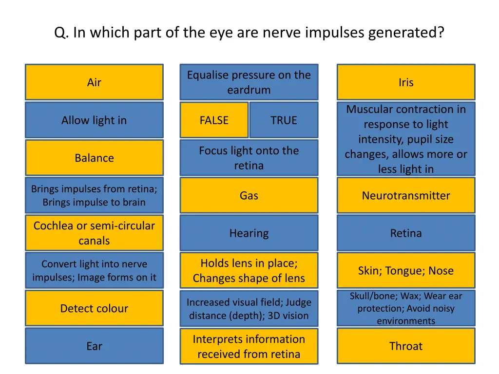 q in which part of the eye are nerve impulses