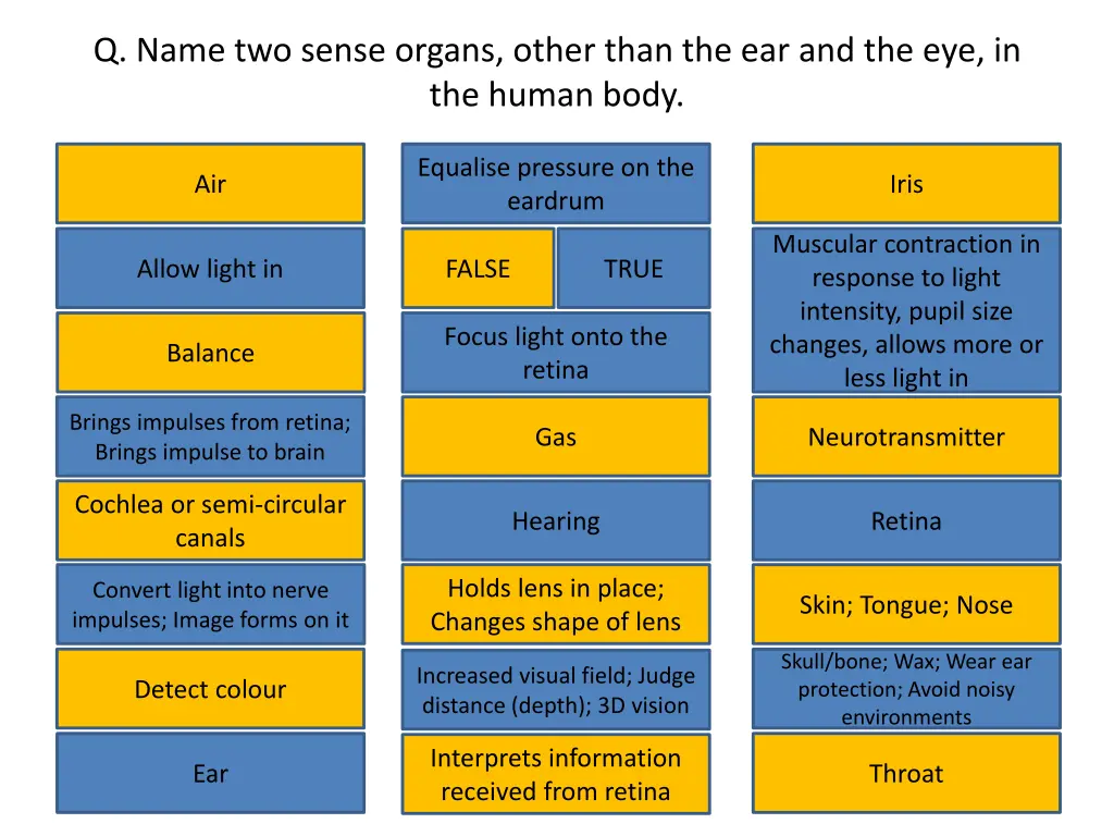 q name two sense organs other than