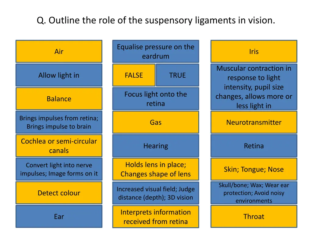 q outline the role of the suspensory ligaments