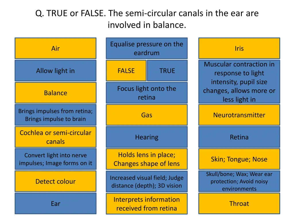 q true or false the semi circular canals