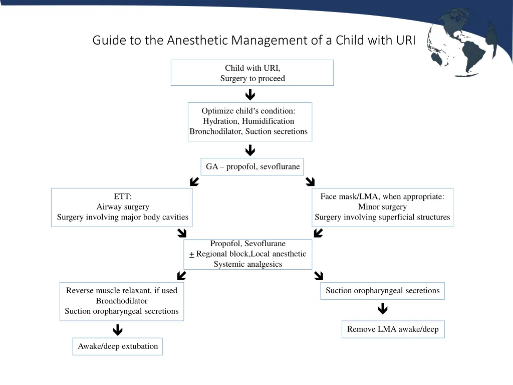 guide to the anesthetic management of a child