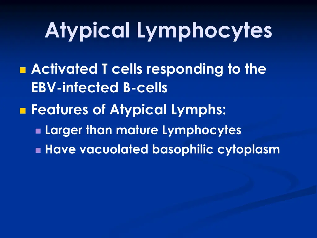 atypical lymphocytes