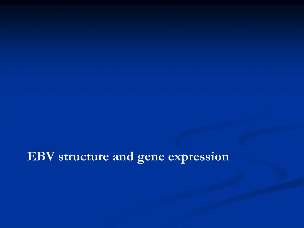 ebv structure and gene expression