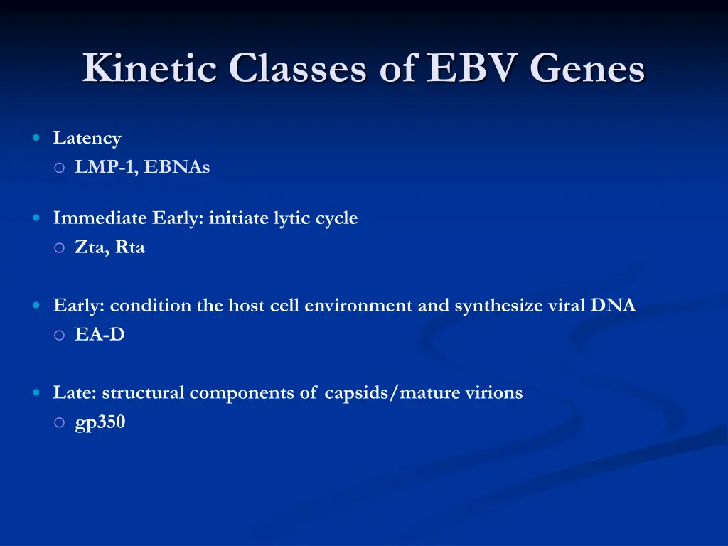 kinetic classes of ebv genes