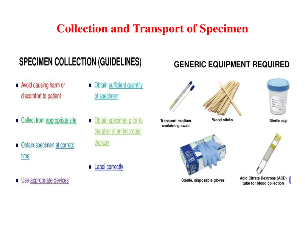 collection and transport of specimen 1