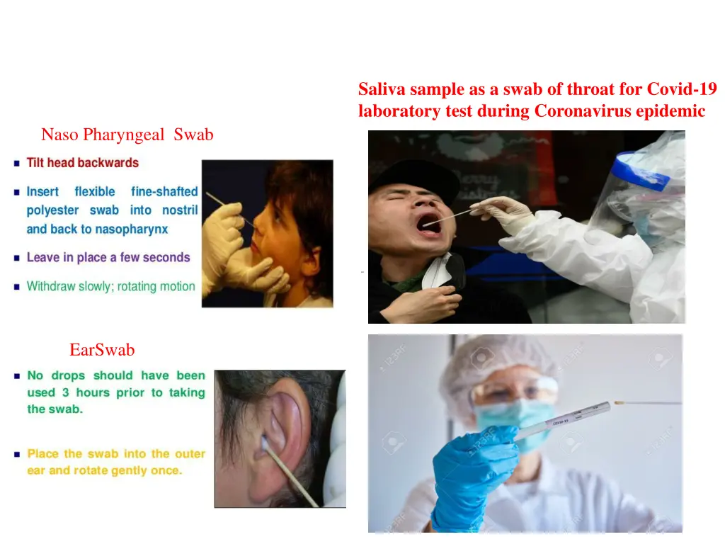 saliva sample as a swab of throat for covid