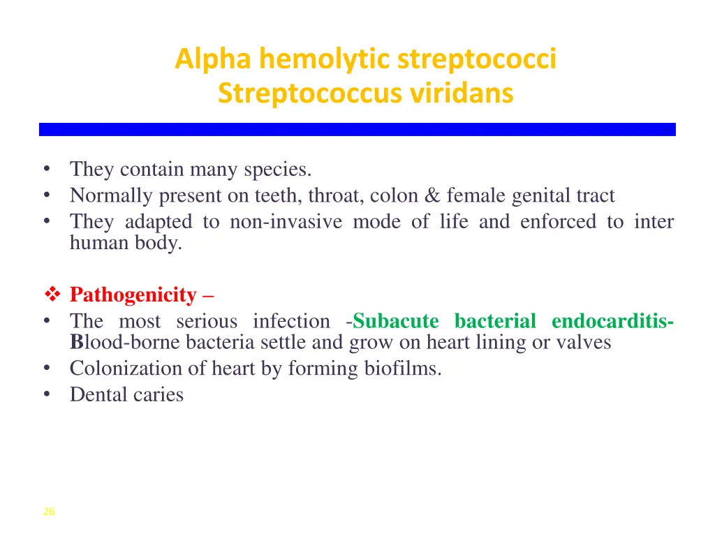 alpha hemolytic streptococci streptococcus