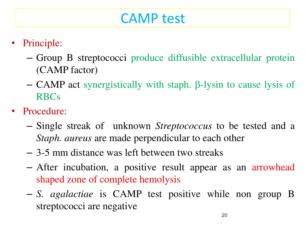 camp test