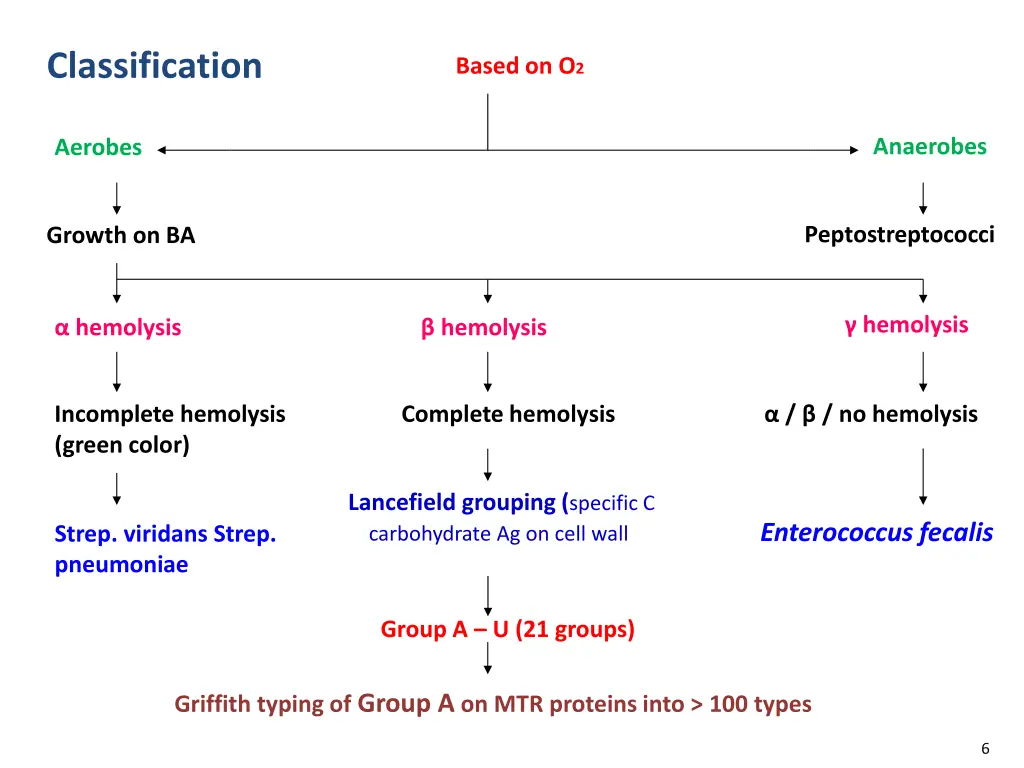 classification 1