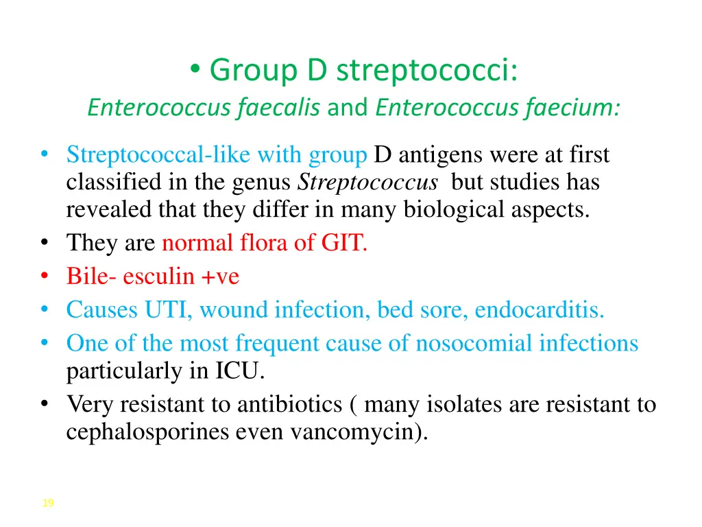 group d streptococci enterococcus faecalis