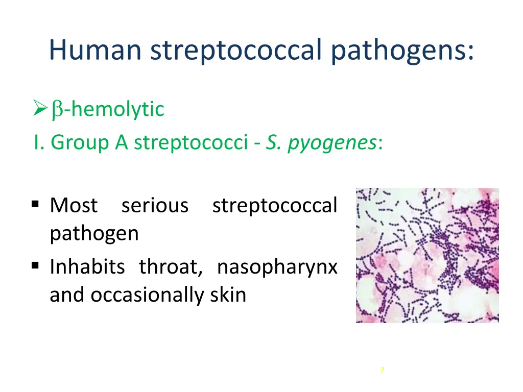 human streptococcal pathogens 1