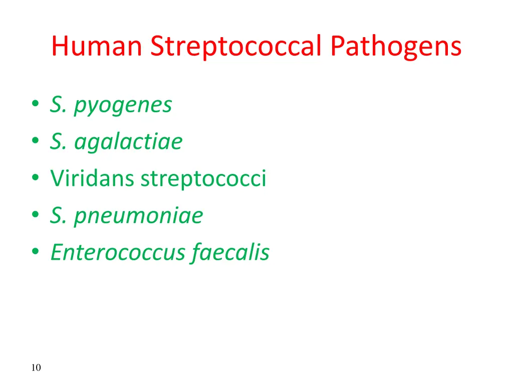 human streptococcal pathogens