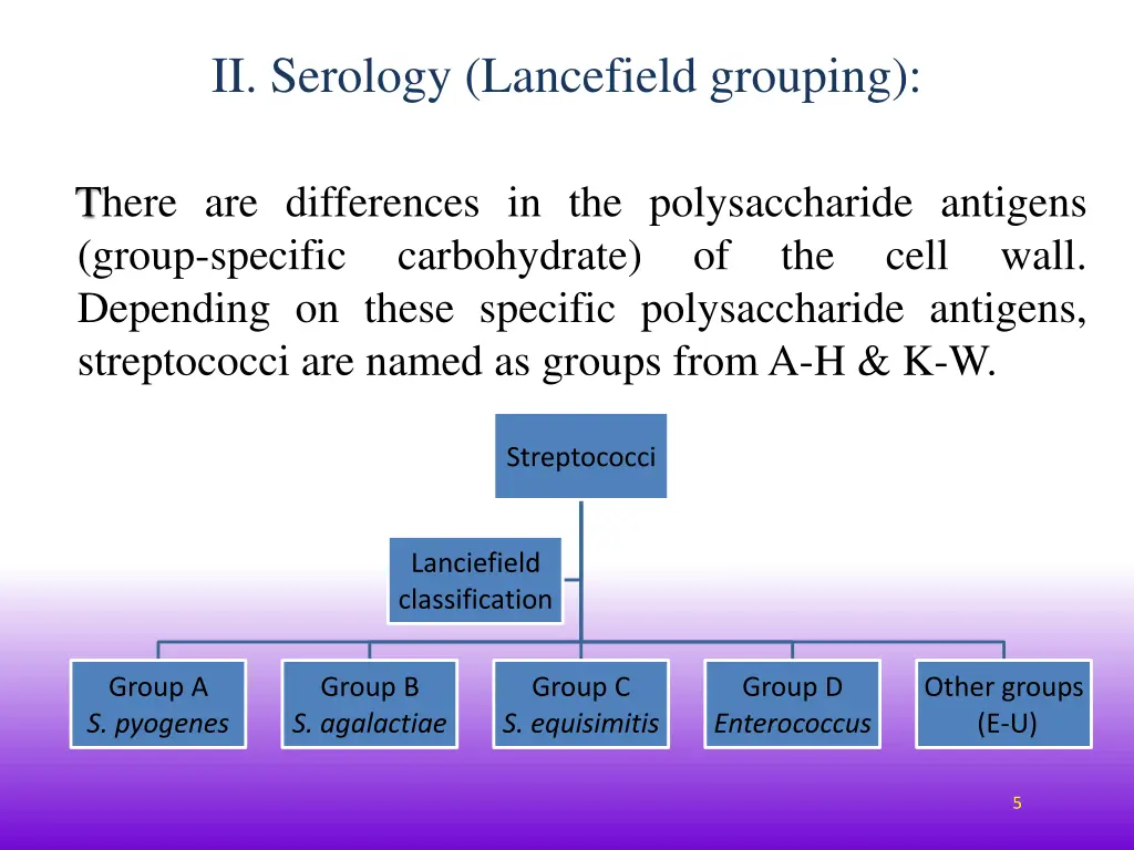 ii serology lancefield grouping