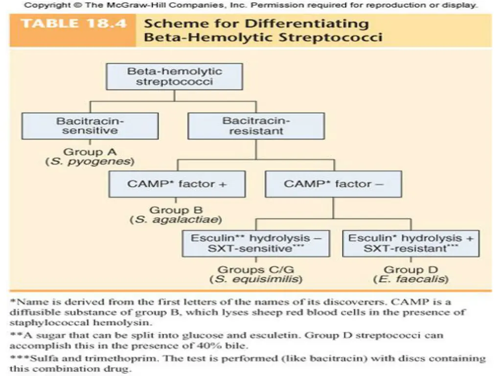 slide25