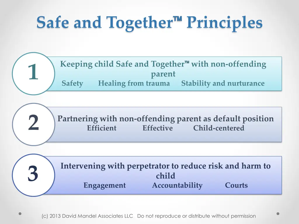 safe and together principles