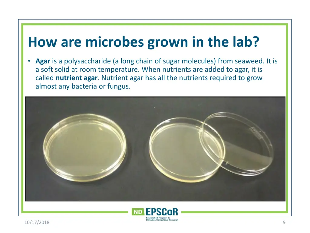 how are microbes grown in the lab