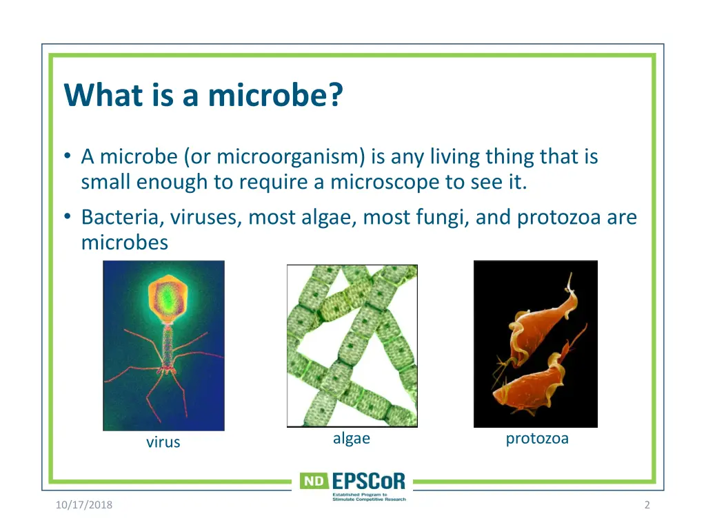 what is a microbe