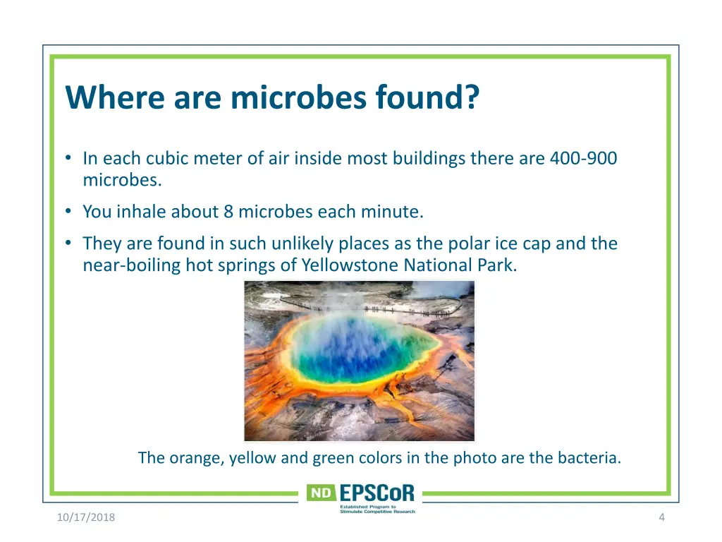 where are microbes found 1