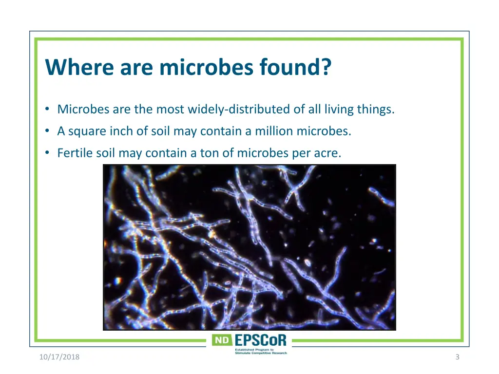 where are microbes found