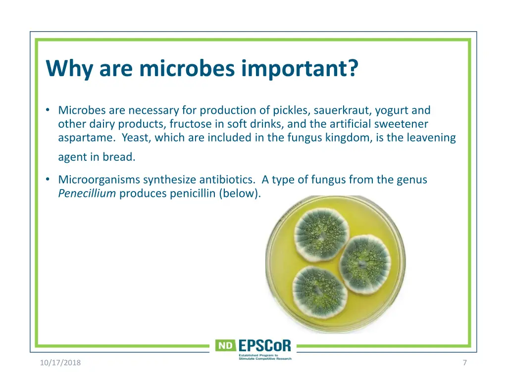 why are microbes important 1