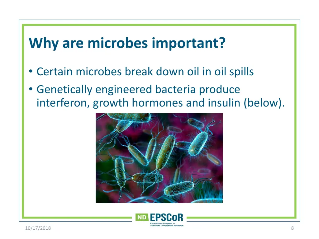 why are microbes important 2