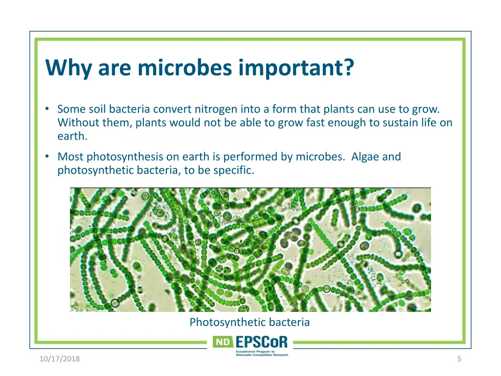 why are microbes important