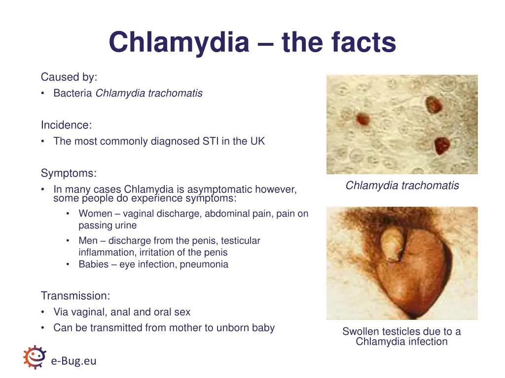 chlamydia the facts