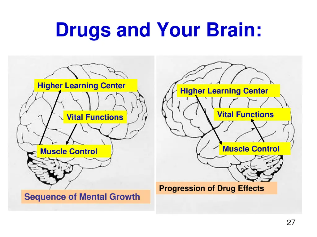 drugs and your brain