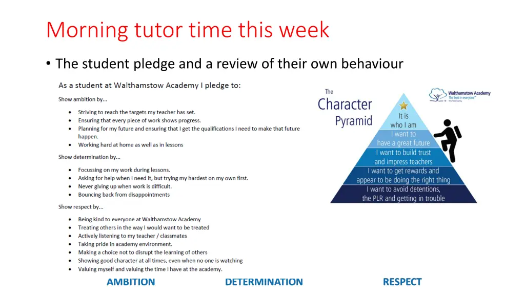 morning tutor time this week