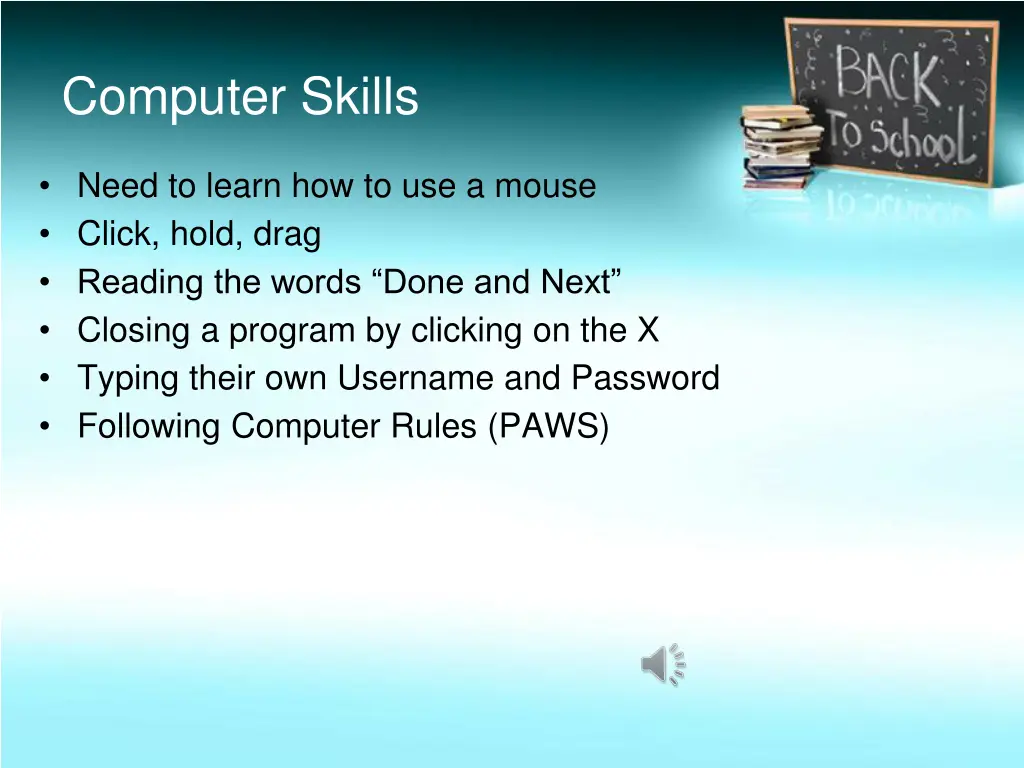 computer skills