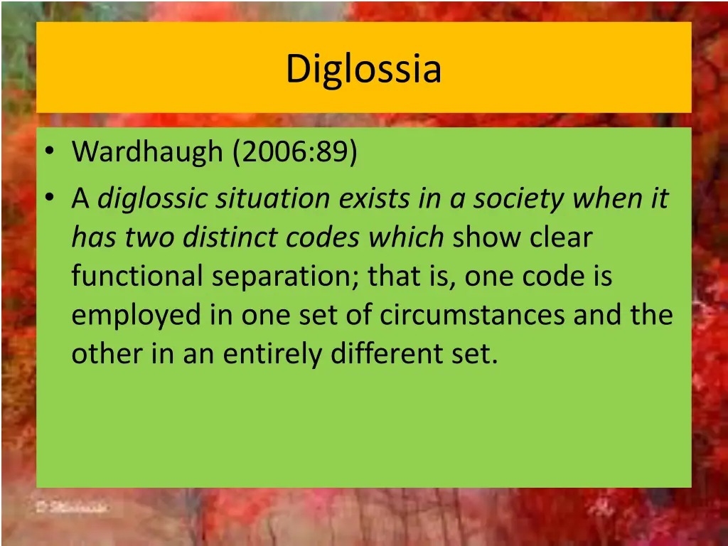 diglossia