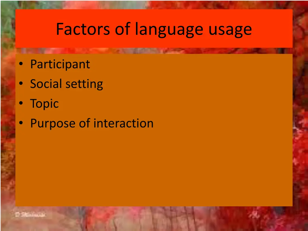 factors of language usage