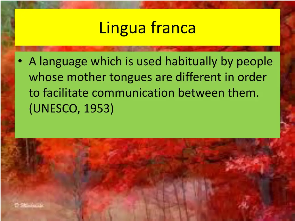 lingua franca