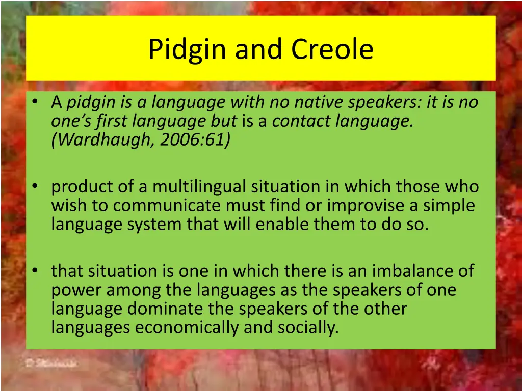 pidgin and creole