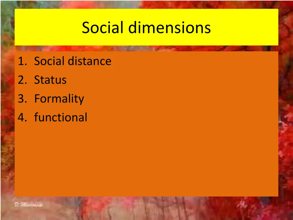 social dimensions