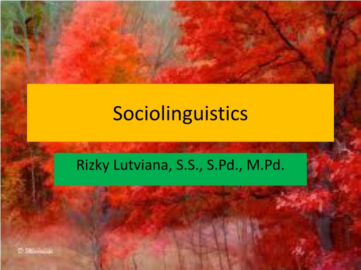 sociolinguistics